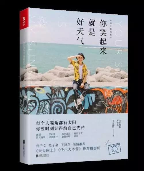 王义博的书