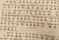 “外婆”是方言改成“姥姥”?上海语文教材引热议
