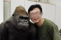 中大性骚扰教授妻子曾让学生签师德良好声明遭拒