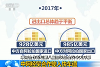 中阿合作论坛第八届部长级会议开幕