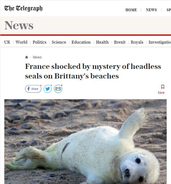 Ӣ����ÿ�յ�Ѷ����������ͼ