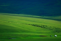 新疆托克遜縣景色
