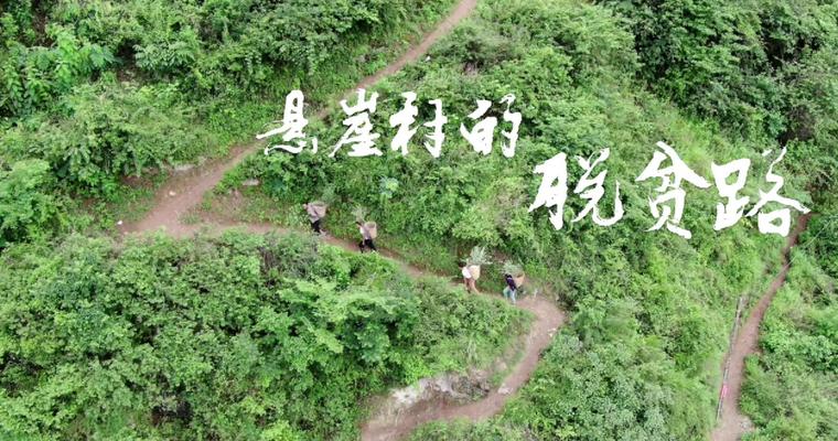《悬崖村的脱贫路》