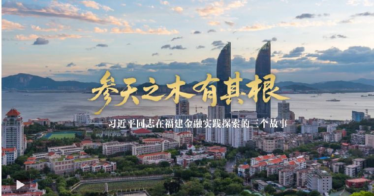 参天之木有其根——习近平同志在福建金融实践探索的三个故事