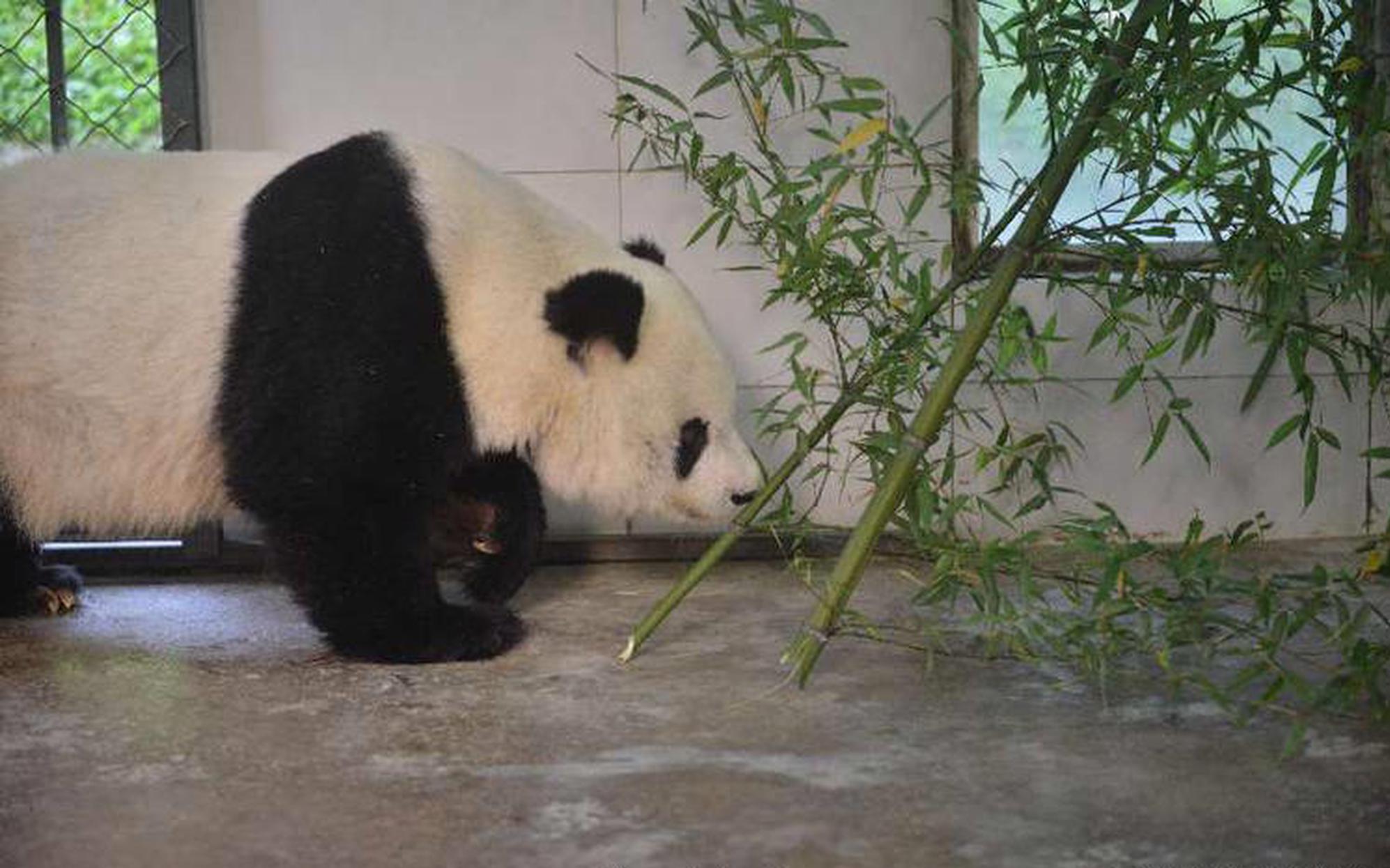 那个社区的妻子们下卷