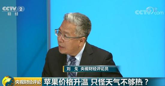 贸易商都在囤它:苹果还没红 期货咋先火了?