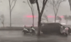 视频：树折车翻！湖北黄冈遭遇狂风暴雨袭击