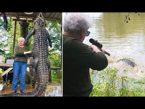 视频：73岁老奶奶一枪击毙500斤重鳄鱼 为自己