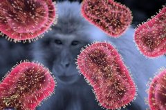 权威解答｜“猴痘”是什么？有哪些传播途径？如何科学应对猴痘病毒？——权威专家回应