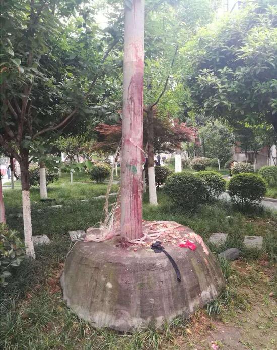  �����֡�����ľȾ�졣ͼƬ��Դ�������гǹܾ�