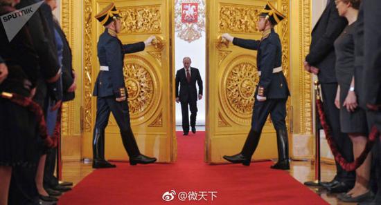 母牛为啥叫牛肉 3分钟看普京直播连线答奇葩问