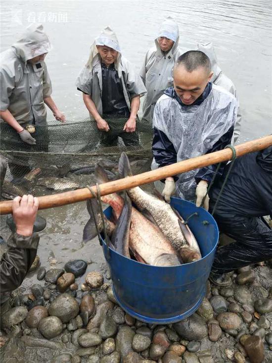 暴雨天大家都在躲雨 这所大学却忙着在湖中捞鱼