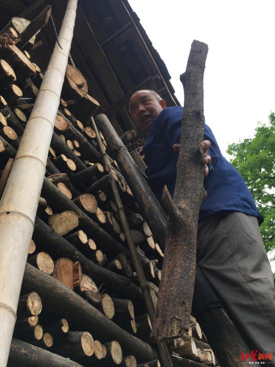 苦命女孩捐献遗体：成都医学院将护送骨灰归故里