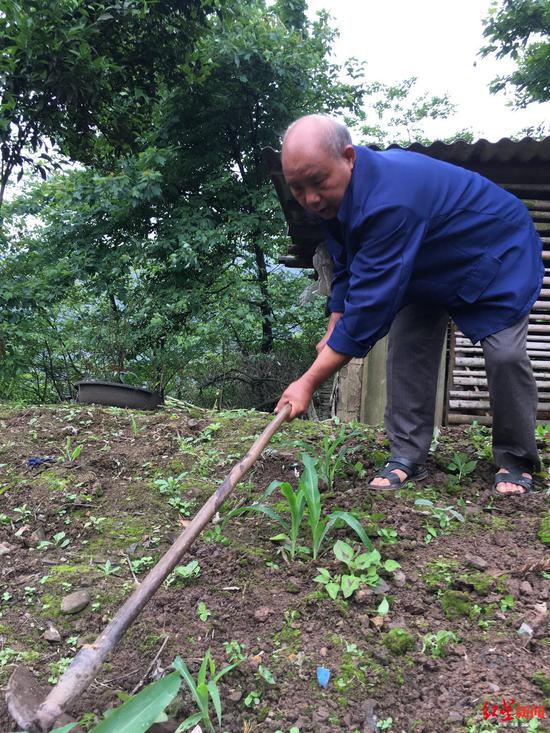 苦命女孩捐献遗体：成都医学院将护送骨灰归故里
