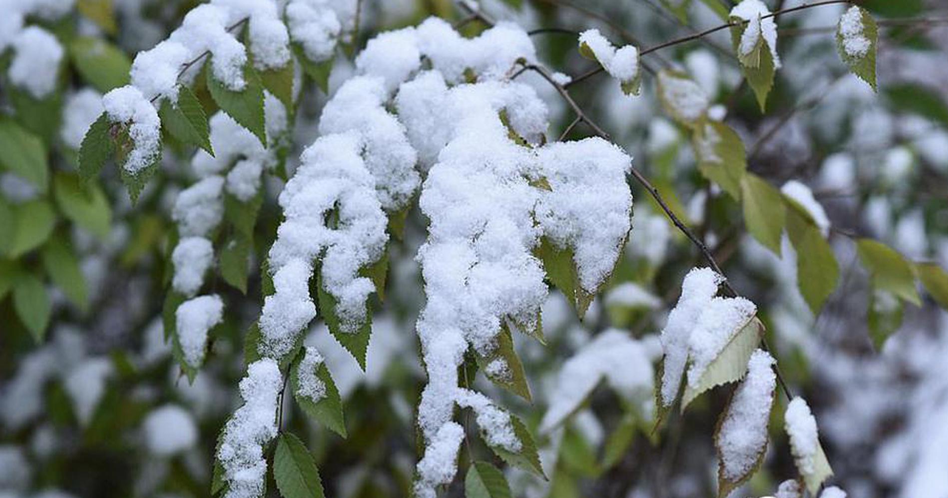 綠茵場上的財富密碼：深度解析賽馬「過關」的熱血與智慧 