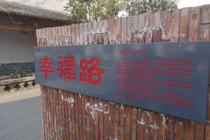 张庄小胡同50元一次的背后，城市记忆与市井经济的共生故事