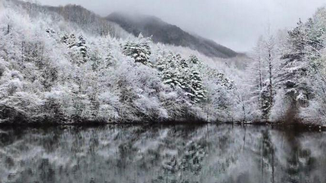 洛阳白云山三月桃花雪