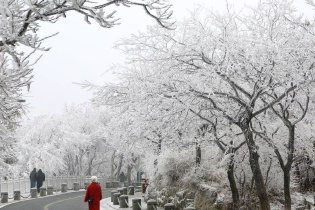 雾淞晶莹剔透