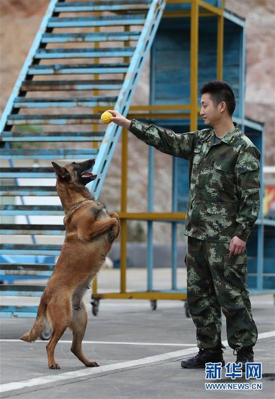 5月7日，在贵州省凯里市的黔东南消防支队战情保障大队，蒋雨航与搜救犬四喜在一起。新华社记者 江宏景摄