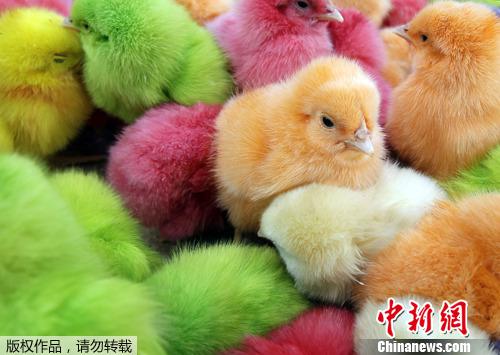 名人平台登录-得到什么,就必须付出,有时候你得不到,同样也要付出