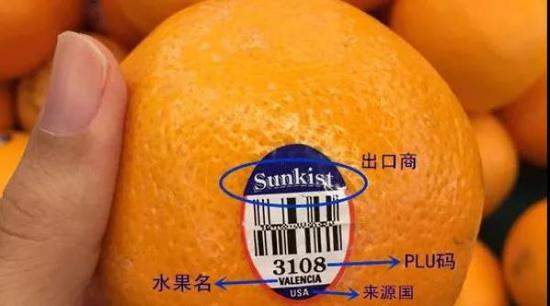 美国进口新鲜橙子上的标签
