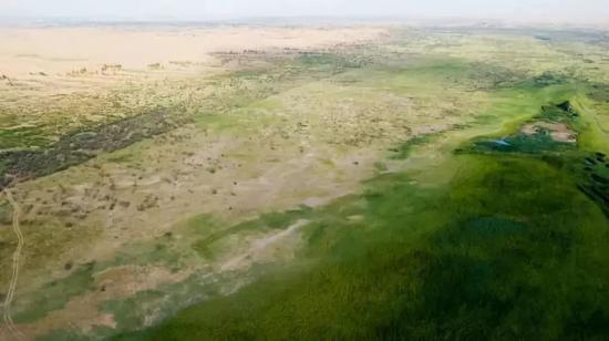 ↑这是内蒙古鄂尔多斯市杭锦旗库布其沙漠中的生态修复现状（7月11日无人机拍摄）。新华社记者 彭源 摄