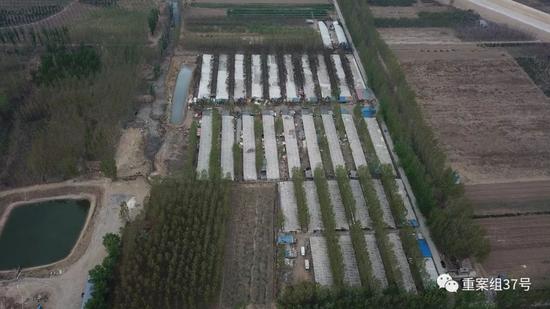 ▲4月13日，通州區北堤寺村南，航拍村南的養豬區域，院后的兩個池子，一個堆放糞便廢棄物（左側泥漿色），一個池子是日常廢水（右側灰色的水）。 ? ?新京報記者 王飛 攝