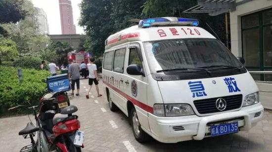 合肥晚报微信公众号 图