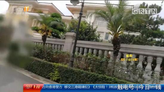 地下代孕黑链调查：出租屋取卵 85万一条龙包成