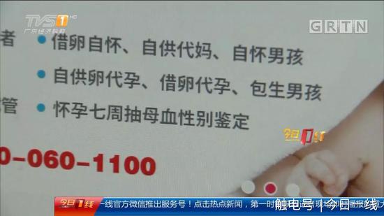 地下代孕黑链调查:出租屋取卵 85万一条龙包成