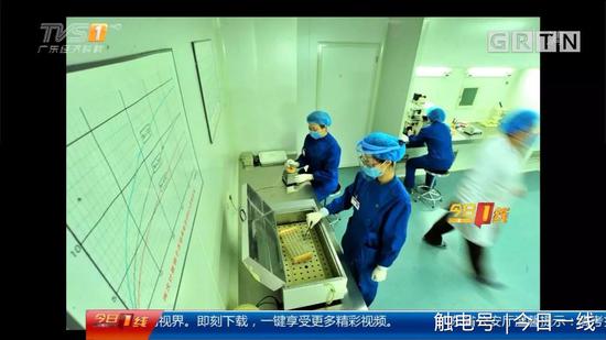 地下代孕黑链调查：出租屋取卵 85万一条龙包成