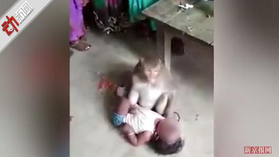 印度现“猴子人贩子”:闯农户家抢婴儿被围住(图)