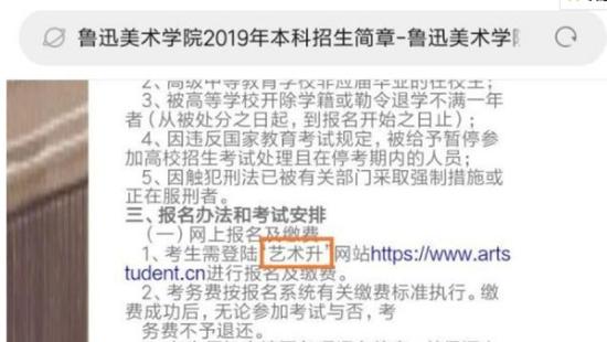 (图为鲁迅美术学院2019年的招生简章,从中可以看到这些院校是把“艺术升”作为唯一网上报名平台的)