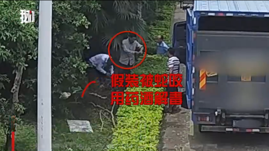 团伙街头让毒蛇咬自己 引路人高价买“祖传神酒”