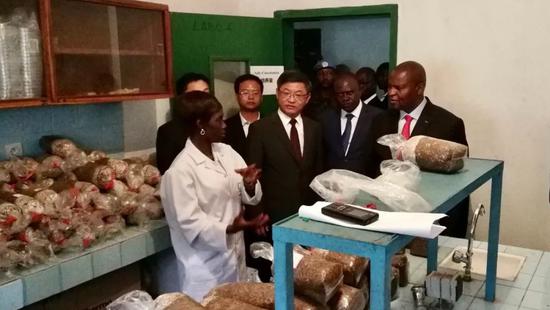 2019年9月11日，中非共和国总统图瓦德拉（右1）参观由福建农林大学菌草专家指导建立的中非首条菌草种菇技术生产线。新华社发