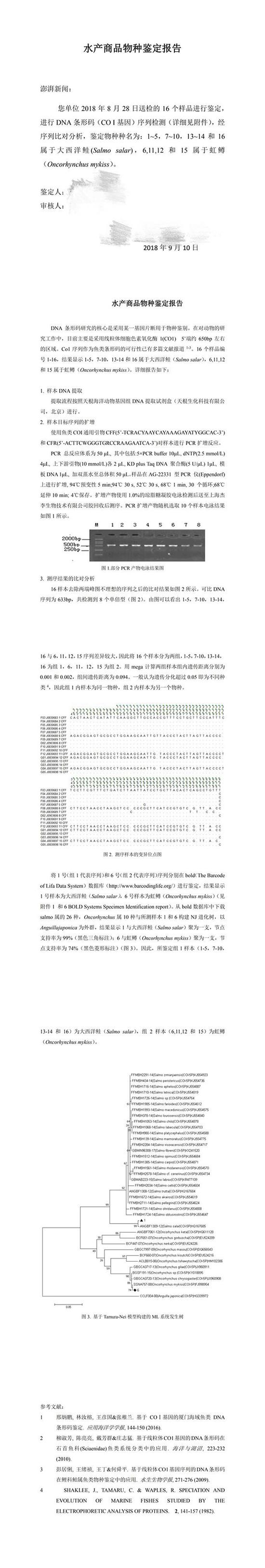 该水产研究所出具的《水产商品物种鉴定报告》电子版部分内容。