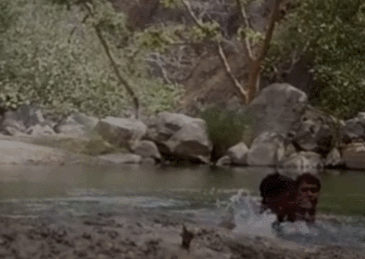 视频：印度3男子自拍戏水 不幸记录溺亡前最后3分