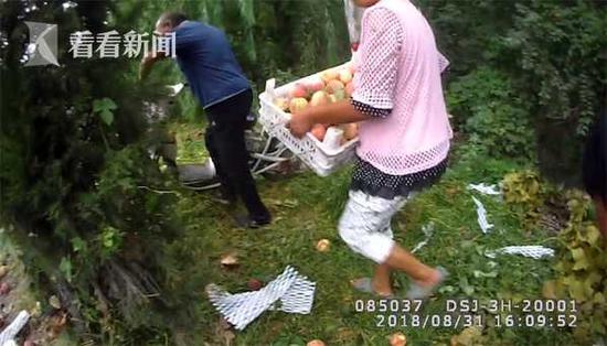 货车侧翻万斤桃遭哄抢 抢桃大妈反问民警：犯法？