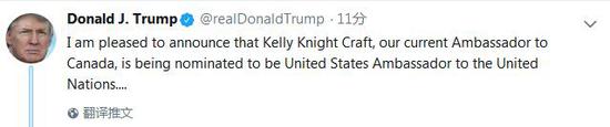特朗普提名现任美驻加大使为美驻联合国大使。(特朗普推特截图)