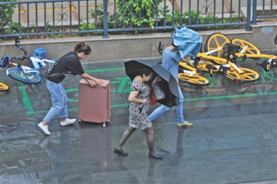 昨日早晨,受台风“白鹿”影响,厦门市出现风雨天气,给市民出行带来不便。图/视觉中国