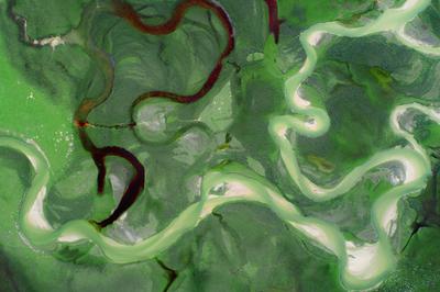 你好，世界第15期获奖作品