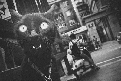 生于街头2019年8月入选作品