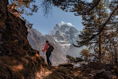 你好世界第20期获奖作品