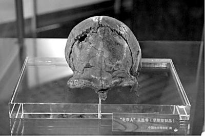 胡承志制作的“北京人”头盖骨化石模型（中国地质博物馆藏）