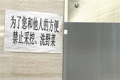 公园里的公厕内张贴着禁止采挖、洗野菜的告示。