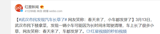武漢市民發(fā)現(xiàn)汽車長草了 網(wǎng)友笑稱:春天來了!(圖1)