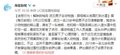 解除封城后 波兰男子去动物园:跟母熊从地面打到水里(含视频)