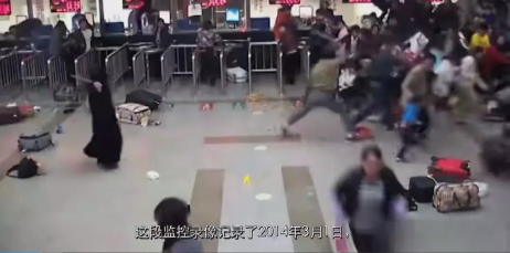 ▲纪录片截图。