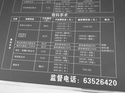 河南整治宠物医院:看病比人贵 无证经营乱象频