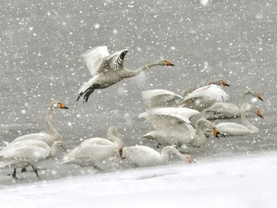 “你好,世界!”旅行摄影大赛第七期公示